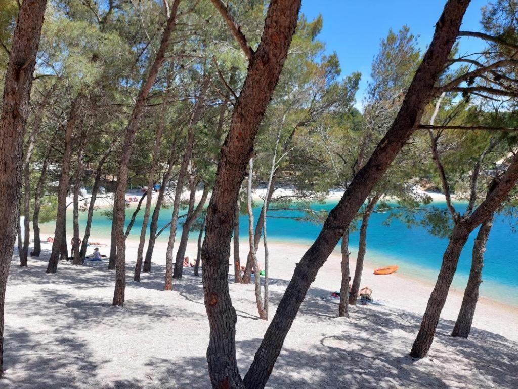 Luxury Mobile Home Pretty Green - Premium - Oaza Mira Resort -50 M From The Beach Drage Exteriör bild